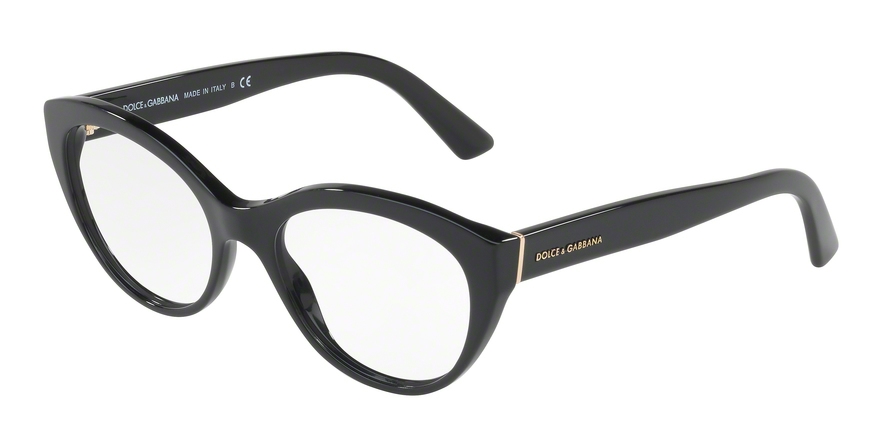 DOLCE GABBANA 3246F 501