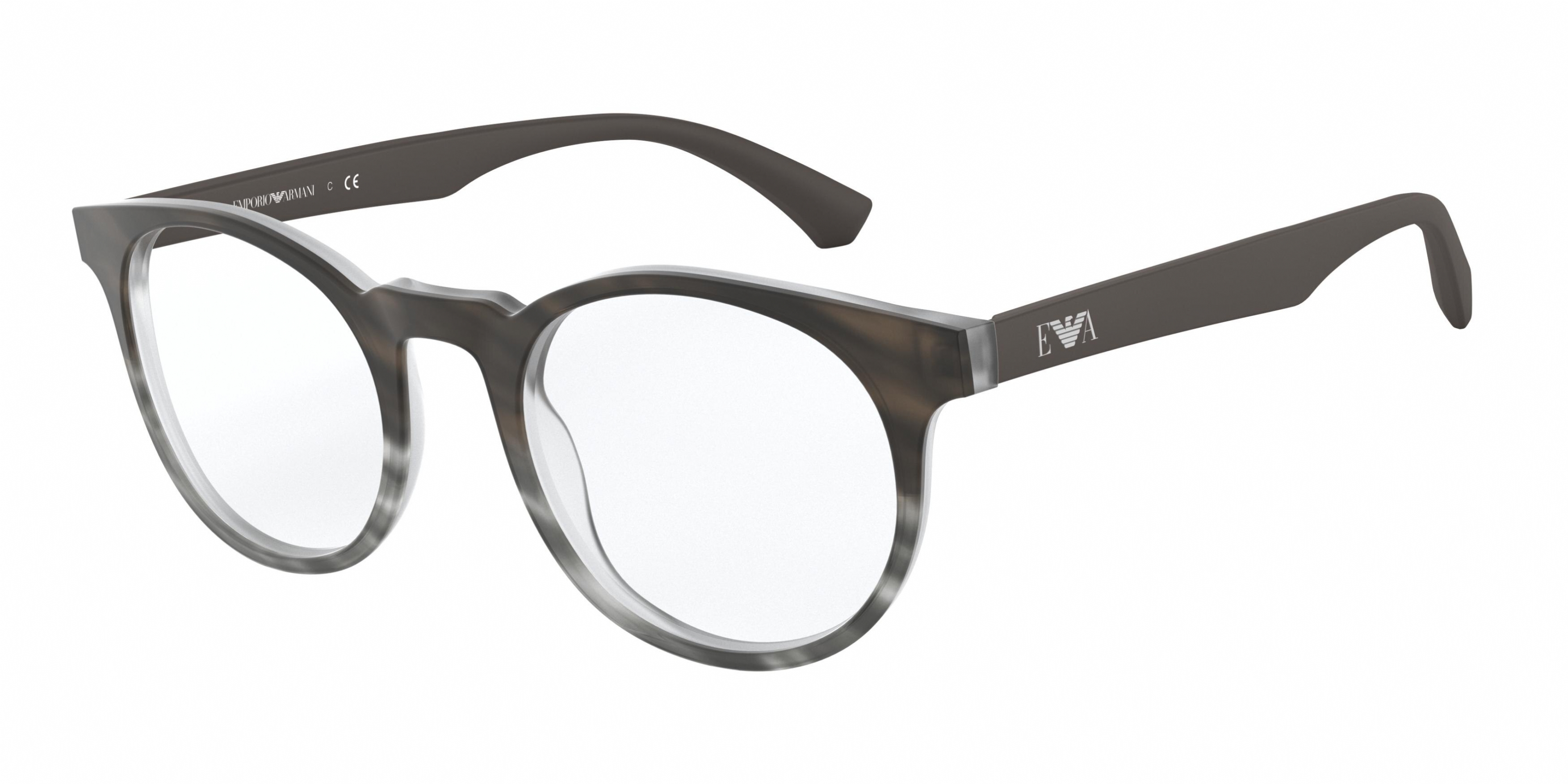 EMPORIO ARMANI 3156F 5789