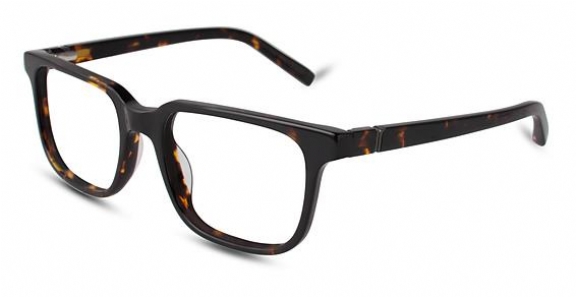 JONES NEW YORK J524 TORTOISE