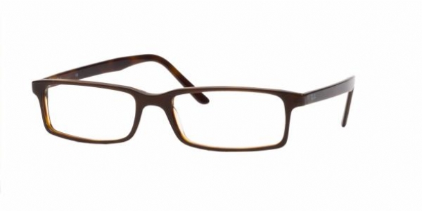 RAY BAN 5095 2019