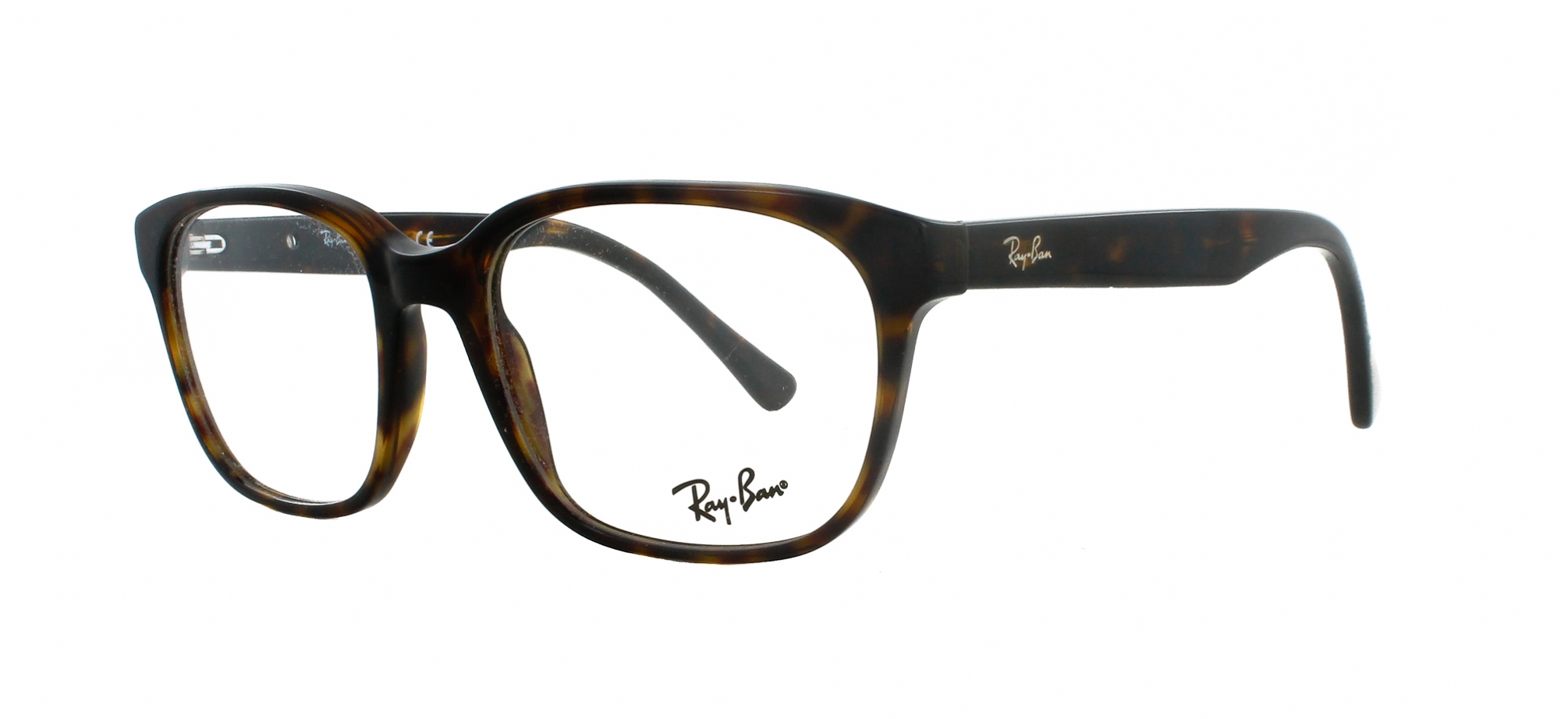 ray ban hexagonal flat lenses polarized