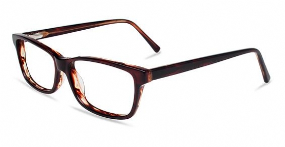 REMBRAND INDIE HOWARD TORTOISE