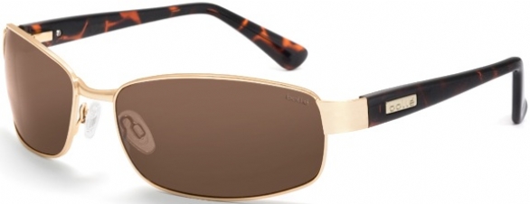 BOLLE DELANCY POLARIZED 11302