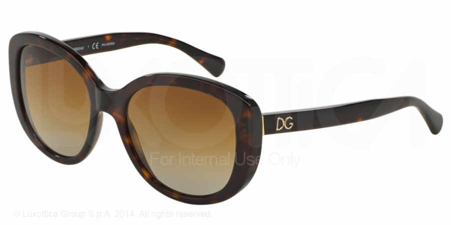 DOLCE GABBANA 4248 502T5