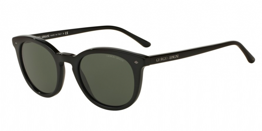 GIORGIO ARMANI 8060F 501731