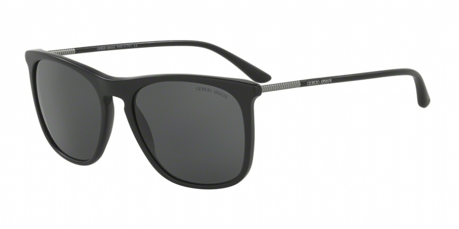 GIORGIO ARMANI 8076F 504287