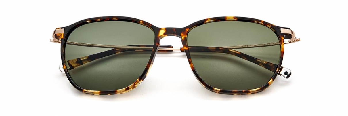 PARADIGM 19-38 TORTOISE(POLARIZED)