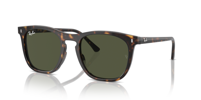 RAY BAN 2210 90231