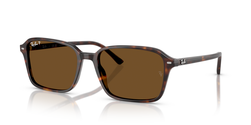 RAY BAN 2231F 90257