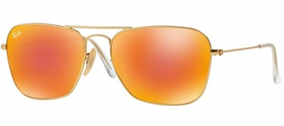 RAY BAN 3136 11269