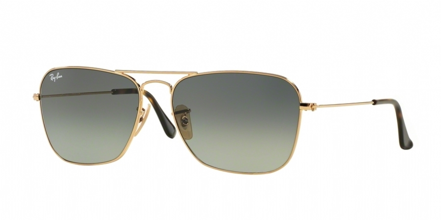 RAY BAN 3136 18171