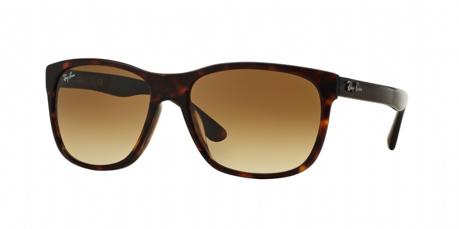 RAY BAN 4181F 90251